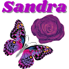 Sandra,papillon et rose violet