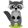 racoon