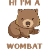 I Am A Wombat