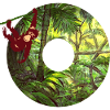 jungle with monkey o