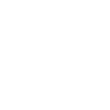 Seulement Wombats Wombat