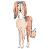 Saluki Fun