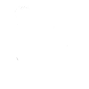 wings angel