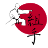 Oi Tsuki Karate