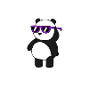 Cool Panda Cooles Geschenk