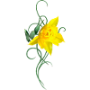 Easter Bell Narcissus Easter