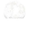Hibou lune chemise-lit cadeau