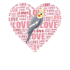 Nymph Parakeet Love Bird