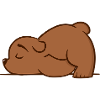 Schlafender Bär