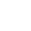 Ineptocracy Definition Description