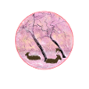 Japanese cherry blossoms woman