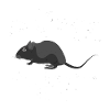 DAS IST KEINE RATTE - LUSTIGER SPRUCH RATTE