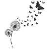Papillon Papillon Pusteblume Dandelion
