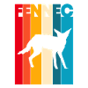 Fennek Desert Fox