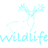 Wildlife Wildtierhirt
