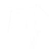 Minimal skiing