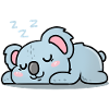 Koala who sleeps