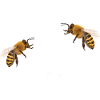 bee happy