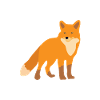 Fuchs Wildfuchs Rotfuchs Wildtier