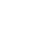 Pilot