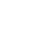 Ant