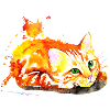 Red cat