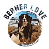 Bernese mountain dog