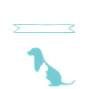 dog cat animal welfare