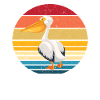 pelican