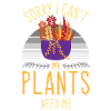 Plant, Plant Plants, Efeutute,