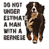 Bernese mountain dog