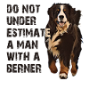 Bernese mountain dog