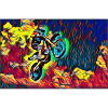 motocross