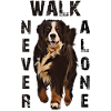 Bernese mountain dog