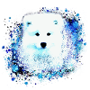 Samojede, Chien, Aquarelle,Peinture, bleu