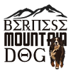 Berner Berghund