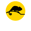 chameleon and moon