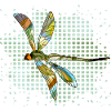 libellule