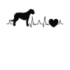 Irish Wolfhound Heartbeat Irish Wolfhound