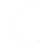 Milky Way Planets