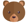 Bear Face