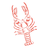 Lobster Seafood Cooking Crab Slang
