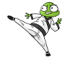 Karate Do Frog