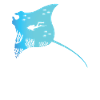 Manta Und Rochen Taucher Geschenk