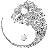 yin yang