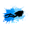 Diver