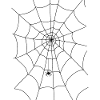 Spinnennetz, Spinne, Spinne im Netz