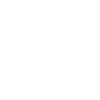 Spinnennetz, Spinne, Spinne im Netz