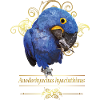 Hyacinth Macaw
