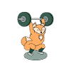 Fox weightlifting with barbell